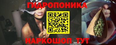 тгк Старая Купавна