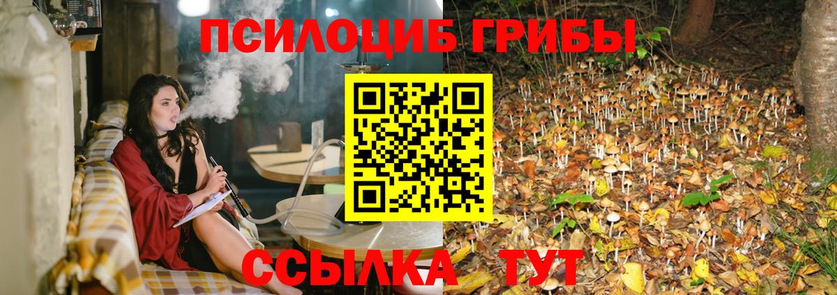 Галлюциногенные грибы прущие грибы  Вход с VPN  Орёл  Галлюциногенные грибы Magic Shrooms 